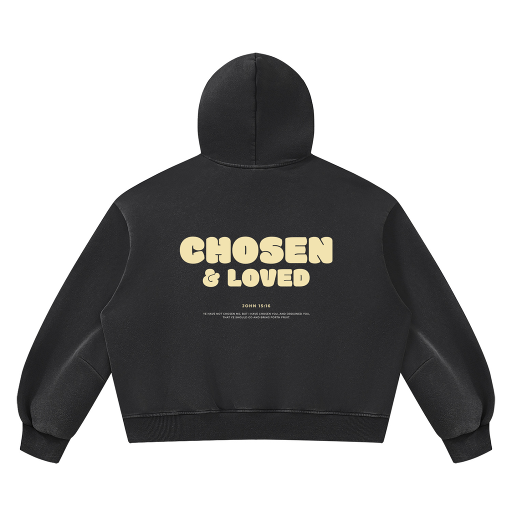 Premium Comfort Hoodie - John 15:16