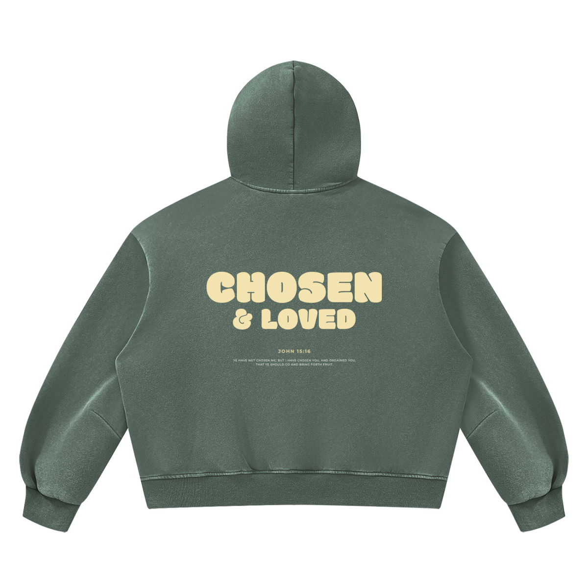 Premium Comfort Hoodie - John 15:16