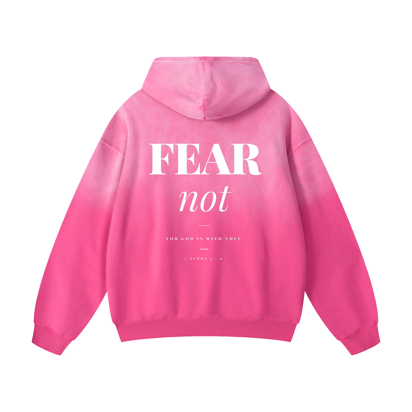 1 Nephi 4:6 Premium Oversized Hoodie