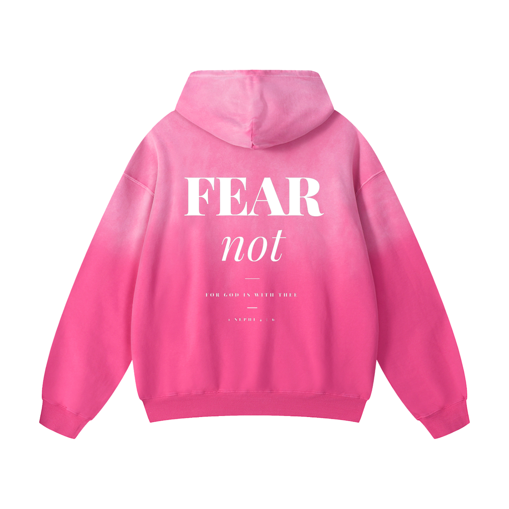 1 Nephi 4:6 Premium Oversized Hoodie